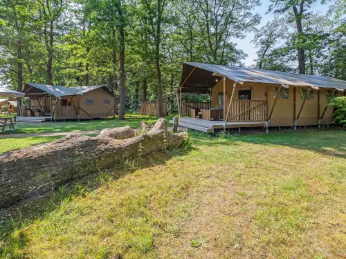 Besondere Unterkunft in 3 Lodges