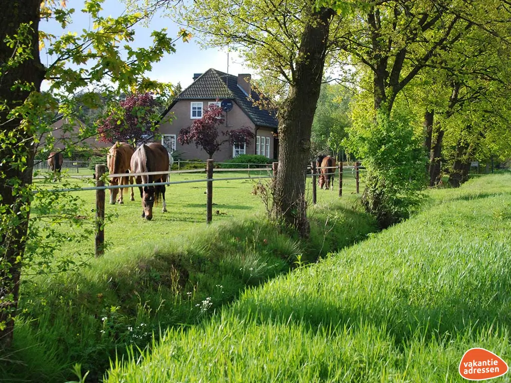 Vakantieadressen accommodatie afbeelding