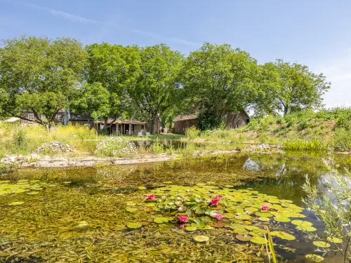 Luxus-Ferienhaus inmitten von Auen und grünen Landschaften