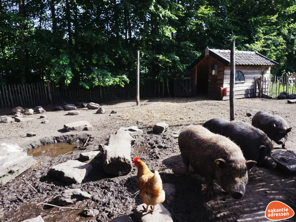 Vakantieadressen accommodatie afbeelding