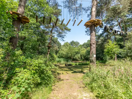 Freistehendes Ferienhaus mit Terrasse, Wald, Heide und Wasser