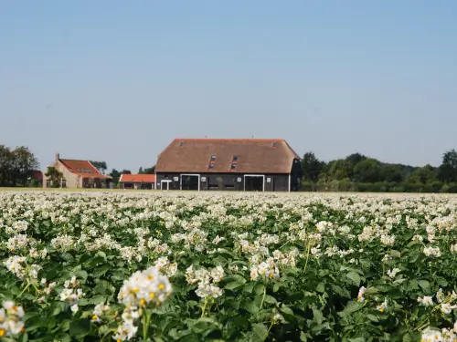 Luxus Ferienhaus in der Nähe von Sonne, Meer und Strand